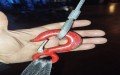 Engenheiro Mecânico e de Segurança do Trabalho