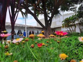 Fundação Pró-Memória de São Caetano do Sul - Photo 5