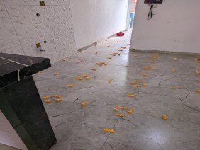 Pedreiro e azulejista - Photo 0